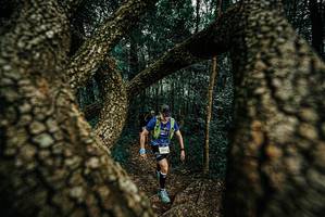 BIB: 
                            <button type="button" onclick="openModal(25674339)" class="btn btn-primary btn-sm float-right btn-popup" data-toggle="modal" data-target=".modal-high-quality">
                        <i class="fas fa-shopping-cart"></i> Add to Cart
                    </button>
                                            <button type="button" onclick="isThisMe(25674339, true)" class="btn btn-success btn-sm float-right btn-popup btn-isme hidden" data-toggle="tooltip" data-placement="bottom" title="นี่คือรูปของคุณใช่ไหม คลิกที่นี่เพื่อเอาเข้าอัลบั้ม">
                        <i class="fas fa-plus"></i> Add to album
                    </button>
                    <button type="button" onclick="isThisMe(25674339, false)" class="btn btn-warning btn-sm float-right btn-popup btn-isnotme hidden">
                        <i class="fas fa-ban"></i> Remove from album
                    </button>